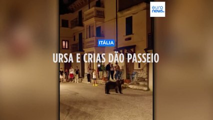 O passeio de uma família de ursos por uma aldeia italiana