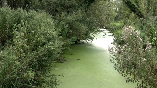 Kent wildlife campaigners criticise government plans to ease environmental planning rules