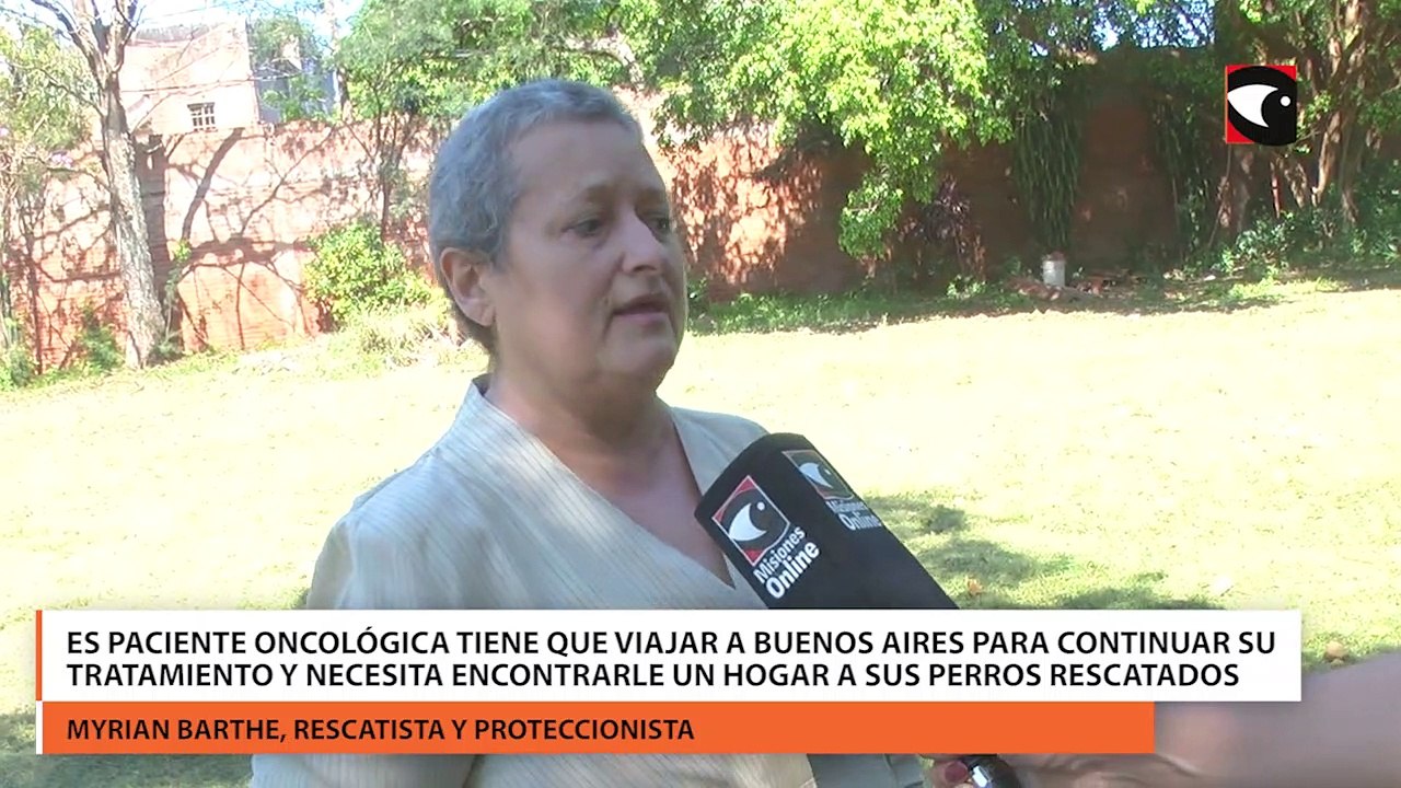 Es paciente oncológica tiene que viajar a Buenos Aires para continuar su tratamiento y necesita encontrarle un hogar a sus perros rescatados
