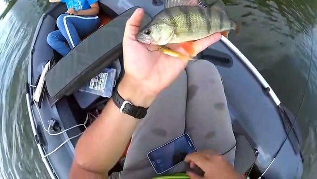 Ce jeune pêcheur va faire une énorme bêtise