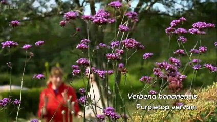 The Beechgrove Garden 2023 episode 22