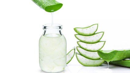 Aloe Vera Juice Is Everywhere Right Now—But Don't Believe the Hype