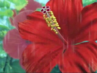 Nanatsu no Hikan: Senritsu no Bishou online multiplayer - dreamcast