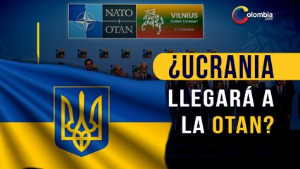 Ucrania cree que puede ingresar a la OTAN antes del fin de la guerra con Rusia