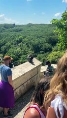 Bartering With Wild Monkeys In Bali