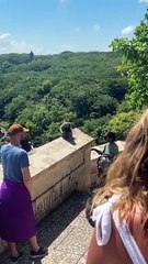 Bartering With Wild Monkeys In Bali