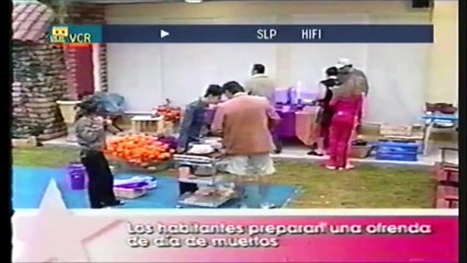 42 BIG BROTHER VIP RELATO 26