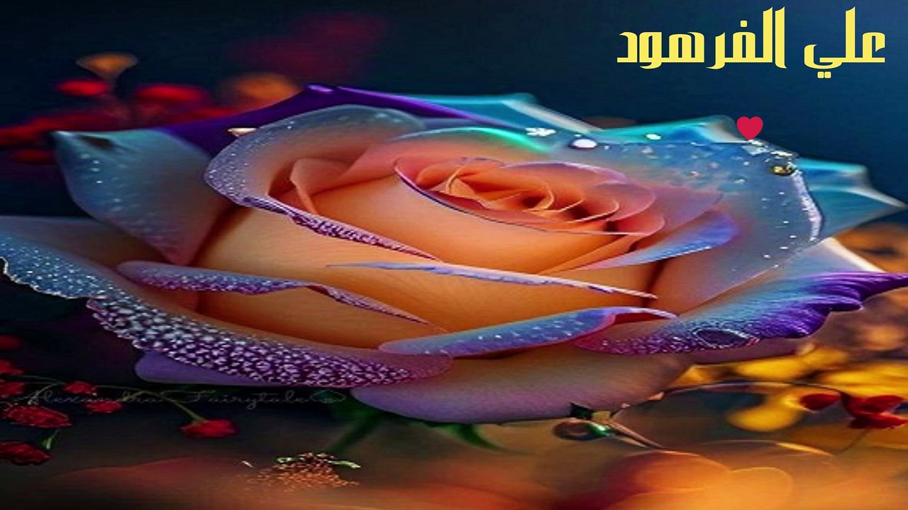 تلاوات هادئة بنبرة حزينة تدمع لها العين علي الفرهود