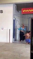 Apresentação de 'Cavalo Tarado' em escola leva ao afastamento de diretores