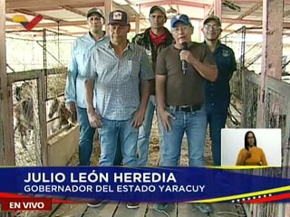 Yaracuy | Unidad de Producción Agrotendencias produce 120 litros de leche diarios con 38 cabras