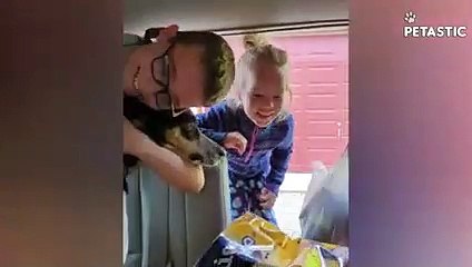 Unexpected Dog Surprises That Will Melt Your Heart   PETASTIC