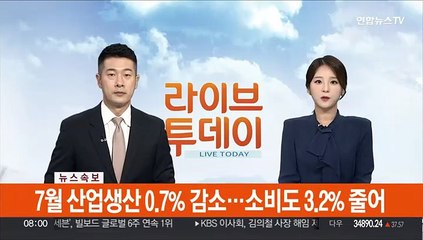 [속보] 7월 산업생산 0.7% 감소…소비도 3.2% 줄어