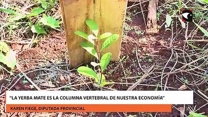 Desregular el mercado es concentrar el poder