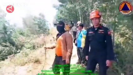 Kebakaran di Taman Nasional Bromo Tengger Semeru, Hanguskan 2 Hektar Kawasan Hutan