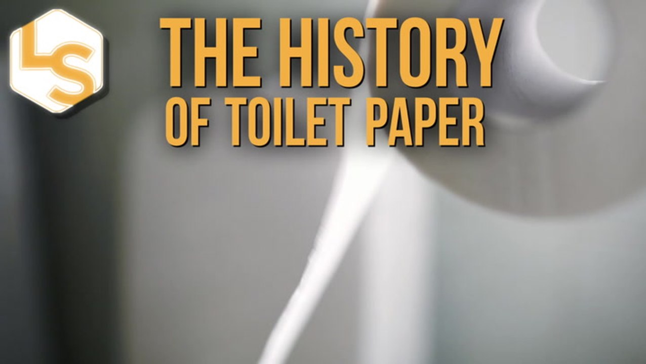 what-did-ancient-humans-use-for-toilet-paper-video-dailymotion