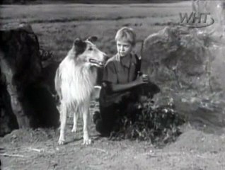 Lassie - S01E24 - Well, The
