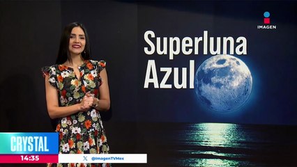 Bomberos rescatan a ovejas y cabras de un río