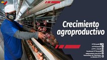 Programa 360º | Crecimiento agroproductivo en la Región Central de Venezuela