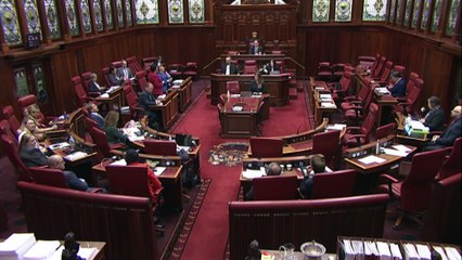 WA MP shares personal story of rape and abortion in a speech to parliament