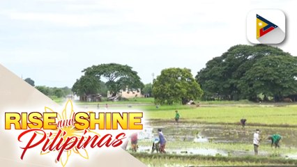 2022 Census of Agriculture and Fisheries, inilunsad ng DA