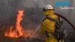 Firefighters fear extremely dangerous bushfire season in 2023 and 2024