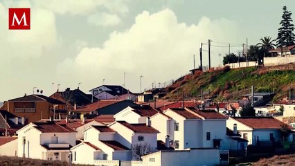 Mujer Atacada por Toro mientras Estaba Distraída