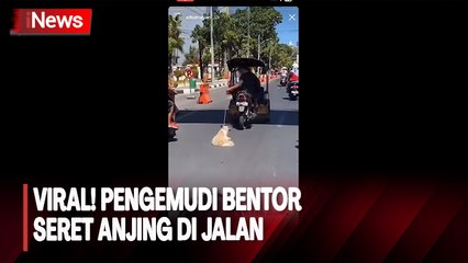 Sadis! Pengemudi Bentor Seret Anjing di Jalan Kota Makassar, Pecinta Hewan Lapor Polisi