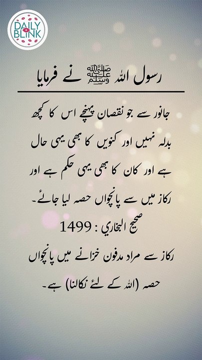 Daily Hadees | Hadees Sharif | Sahih Bukhari 1499 || Daily Blink #shorts #viral #sahihbukhari