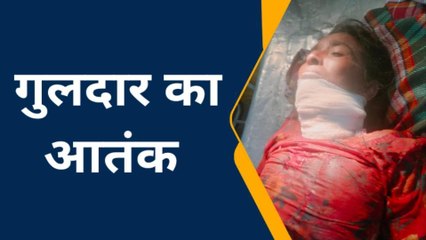 बिजनौर : गुलदार के हमलें में महिला गंभीर घायल, फैली दहशत