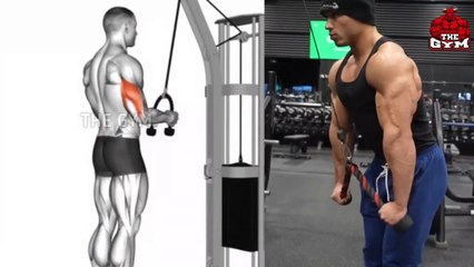 5 Exercises To Get Big Triceps Workout At Gym