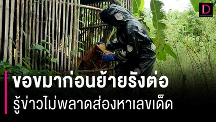 ยายจุดธูปขอขมาก่อนย้ายรังต่อ คอหวยรู้ข่าวไม่พลาดส่องหาเลขเด็ด | HOTSHOT เดลินิวส์ 31/08/66