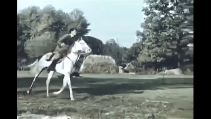 Lotna -film wojenny