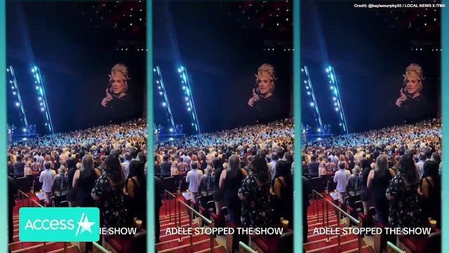 Adele STOPS Performance To Call Out Security For 'Bothering' A Fan