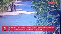 Hifa bu kez mutluluktan ağladı! Kaybolan köpek bulundu