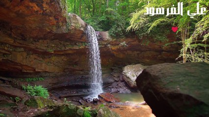 اجمل صوت في القران سمعته في حياتي علي الفرهود