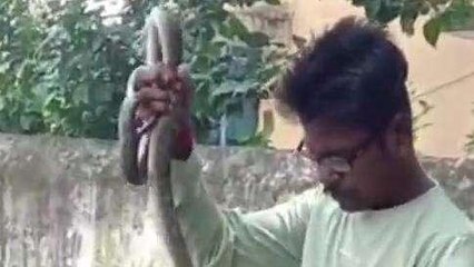 अनूपपुर: घर मे बैठा था जहरीला सांप, देखकर लोगों के उड़े होश