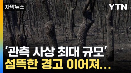 [자막뉴스] 지구 뒤덮은 화염... 일상 될 수 있다는 섬뜩한 경고까지 / YTN
