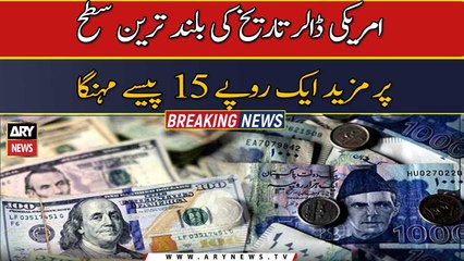 US dollar reached the highest level in history