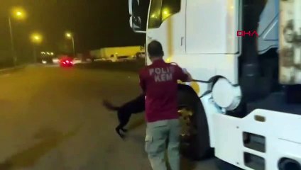 16 kilos de cannabis saisis au TIR à Adana