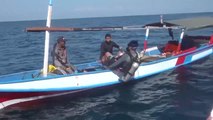 Biólogos indonesios monitorizan a los tiburones ballena, en peligro de extinción