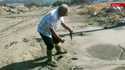 Çamura saplanmış üç arı kuşu böyle kurtarıldı