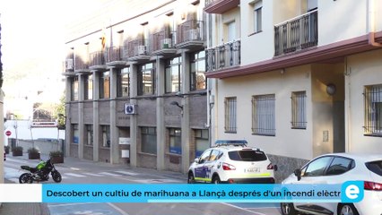 Descobert un cultiu de marihuana a Llançà després d'un incendi elèctric