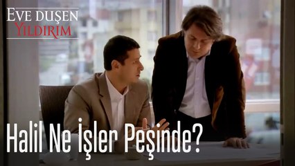 Halil ne işler peşinde? - Eve Düşen Yıldırım