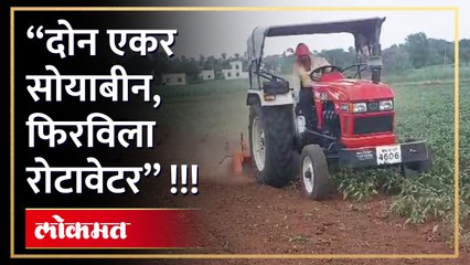 मनमाडच्या पानेवाडीतील शेतकऱ्याचा टोकाचा निर्णय, कीड व पिके करपल्याने शेतकरी हतबल