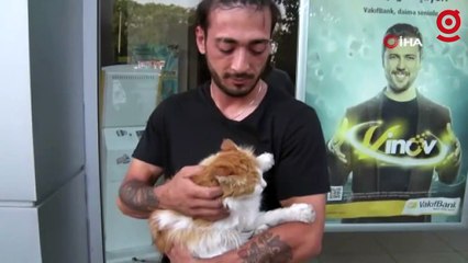 İstanbul’da hayvana şiddete meydan dayağı kamerada: Kediye tekme atan şahsı evire çevire dövdü