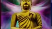 Buddha Flute Music, Healing Music, Calming Music, Relaxing Music For Body Mind & Souls #shorts