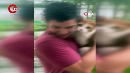 ABD'de Idalia Kasırgası’nda 3 kişi hayatını kaybetti