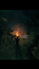 valheim - Combien de fois le naingris brule ?