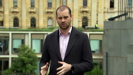 Victorian inquiry recommends state ban on duck hunting