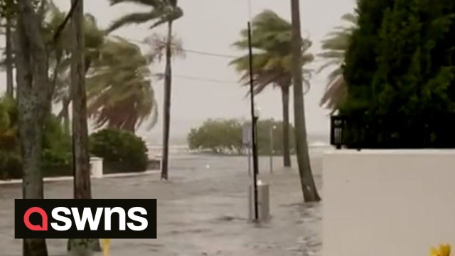 Hurricane Idalia: Video shows flooding in Tampa, Florida